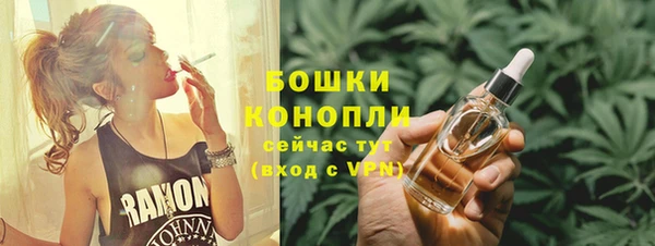 МДПВ Липки