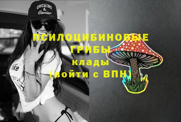 МДПВ Липки
