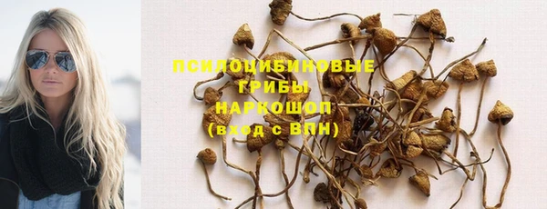 МДПВ Липки