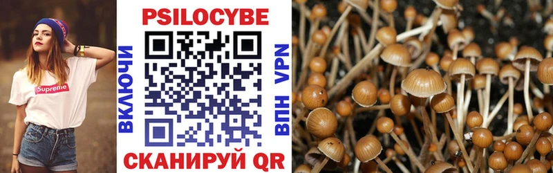 OMG сайт  Новоузенск  Галлюциногенные грибы прущие грибы 
