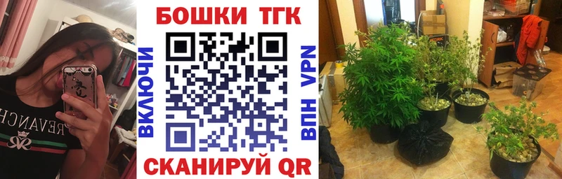 Марихуана Amnesia  Новоузенск 